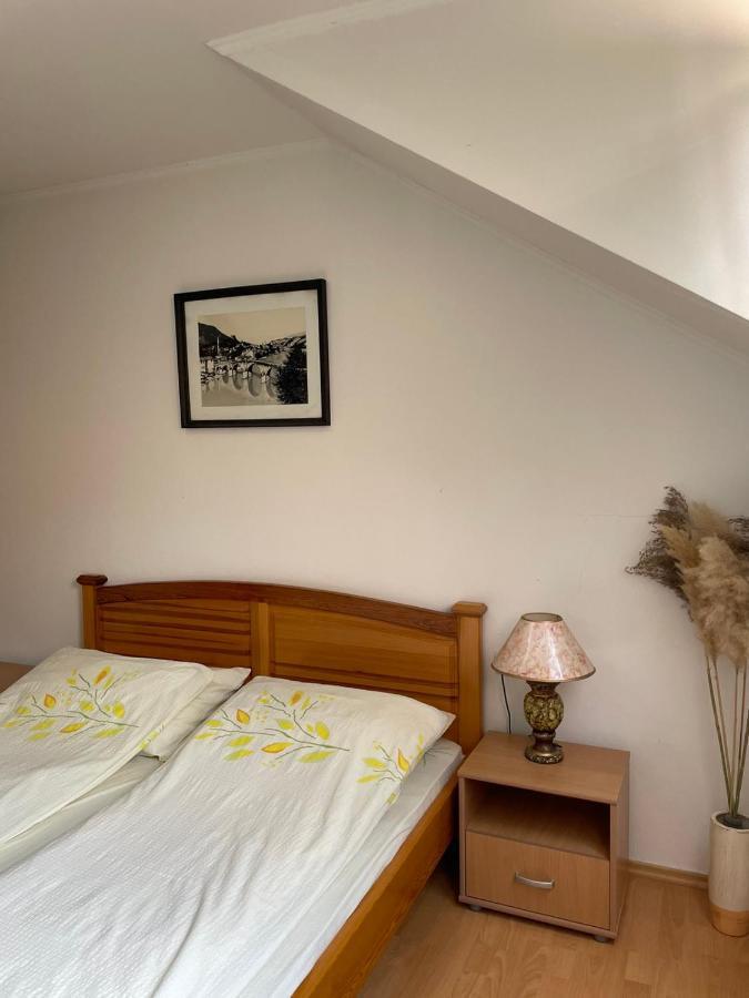 Apartments Vila Hercegovina วิเชกราด ภายนอก รูปภาพ